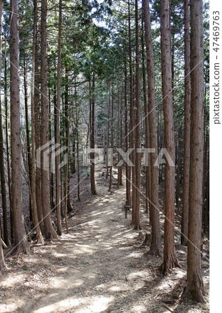 A mountain crossing road 47469763