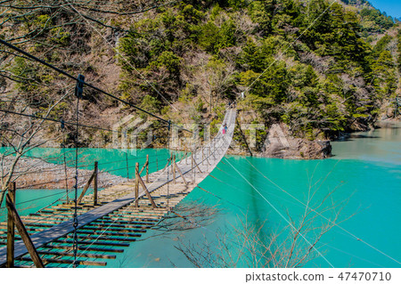 Dream suspension bridge dimensions or narrow Dream suspension bridge dimensions or narrow 47470710