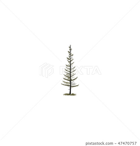 Hand sketched tree in silhouette monochrome style. Stock Vector pine tree symbol, illustration 47470757