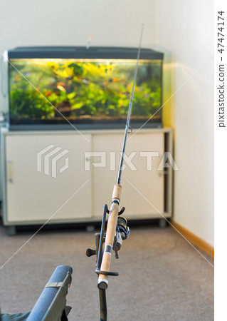 Crazy games. Fishing in aquarium. 47474174
