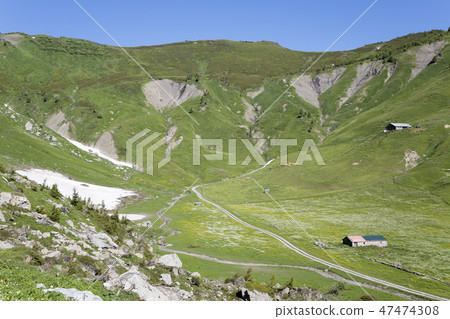 Col de Cou mountain pass (Switzerland) Col de Cou mountain pass (Switzerland) 47474308