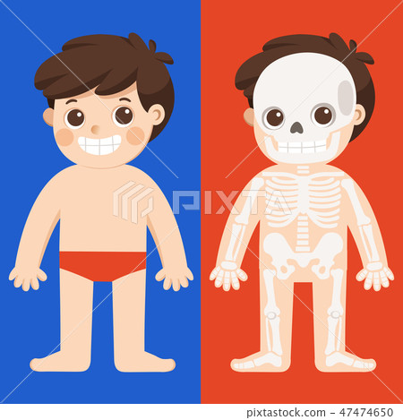 Kid body anatomy vector. Human skeleton. Kid body anatomy vector. Human skeleton. 47474650