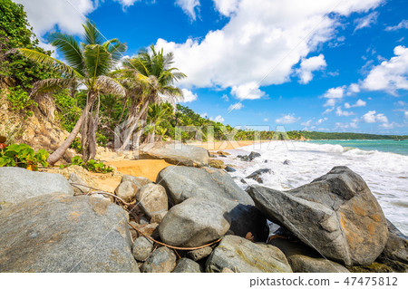 Exotic Caribbean shore of Puerto Rico beach 47475812