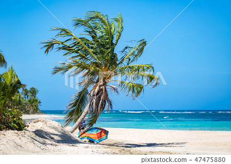 Exotic Caribbean shore of Puerto Rico beach Exotic Caribbean shore of Puerto Rico beach 47475880