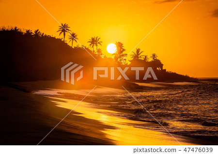 Tropical sunset at the beach with palms 47476039