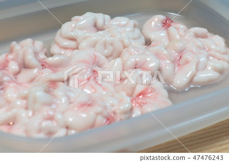 "Shirako no Shirako" before cooking at home 47476243