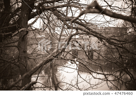 Gothic background with tree branches and fort 47476460