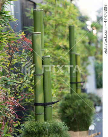 松木裝飾 47476888