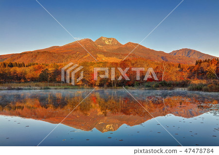 一個多雲池塘的秋葉有早晨薄霧的 47478784