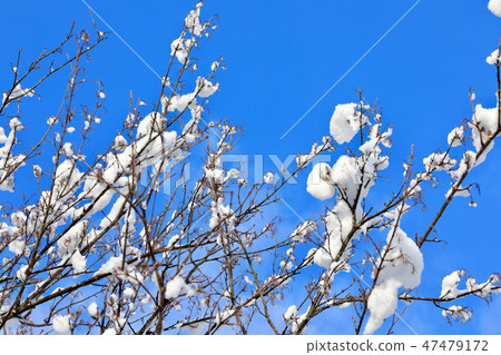 雪域景觀和冬季天空(滋賀縣) 雪域景觀和冬季天空(滋賀縣) 47479172
