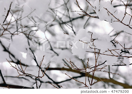 雪景(滋賀縣) 雪景(滋賀縣) 47479200
