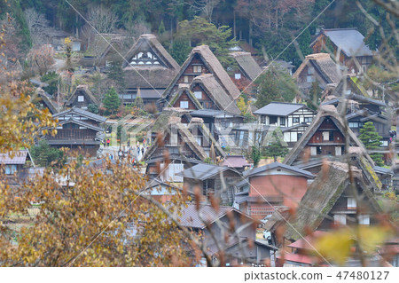 Shirakawago風景在秋天 Shirakawago風景在秋天 47480127
