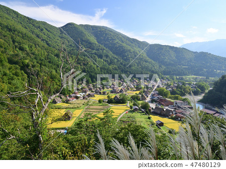 Shirakawago風景在秋天 Shirakawago風景在秋天 47480129