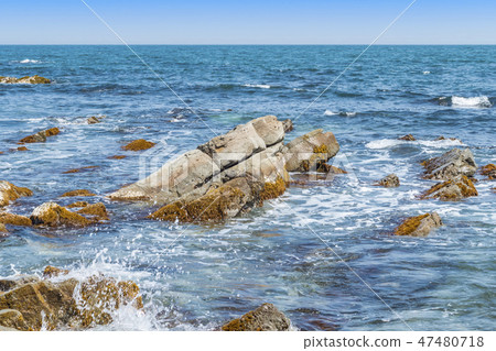 [Hiraiso白堊紀] 47480718