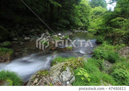 Clear flow of Iwataya River, Niito River tributary in Niyodogawa Town, Kochi Prefecture Clear flow of Iwataya River, Niito River tributary in Niyodogawa Town, Kochi Prefecture 47480811