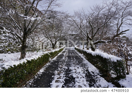 "Okayama prefecture cherry blossom view" Tsuruyama park (Tsuyama castle tower) ": winterscape color (see stamp monument from Ninomaru) "Okayama prefecture cherry blossom view" Tsuruyama park (Tsuyama castle tower) ": winterscape color (see stamp monument from Ninomaru) 47480910