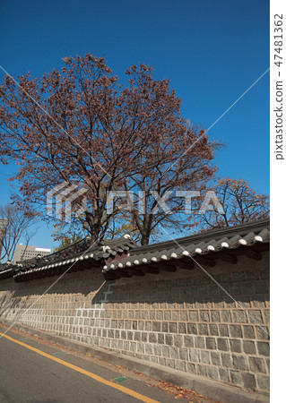 With an autumn flavor, autumn forest landscape with red leaves 069 47481362