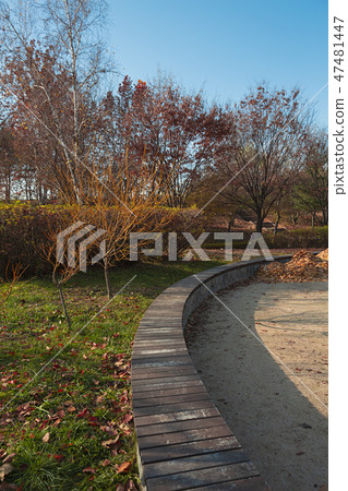 With an autumn flavor, autumn forest landscape with red leaves 009 47481447