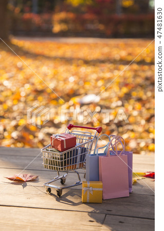 Colorful autumn landscape in park 108 47481630