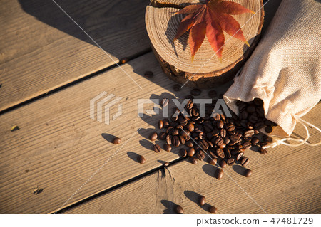 Colorful autumn landscape in park 122 47481729