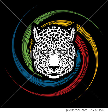 Cheetah Face graphic vector. 47484560