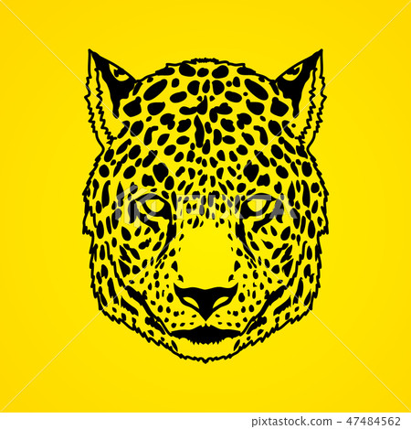 Cheetah Face graphic vector. 47484562