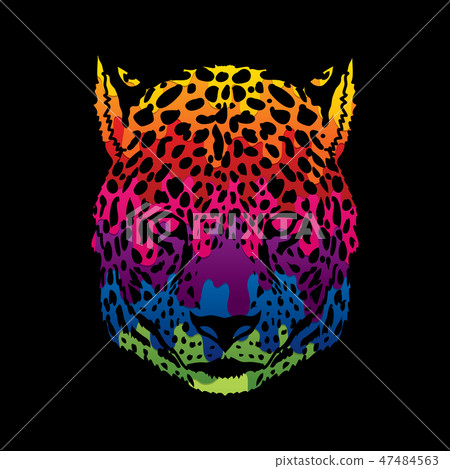Cheetah Face graphic vector. 47484563