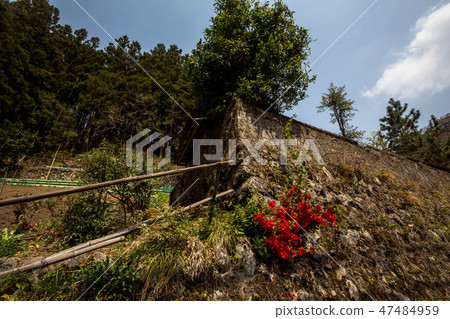 Travelers who go back and forth in the past · Spring Okutama prefecture road Travelers who go back and forth in the past · Spring Okutama prefecture road 47484959
