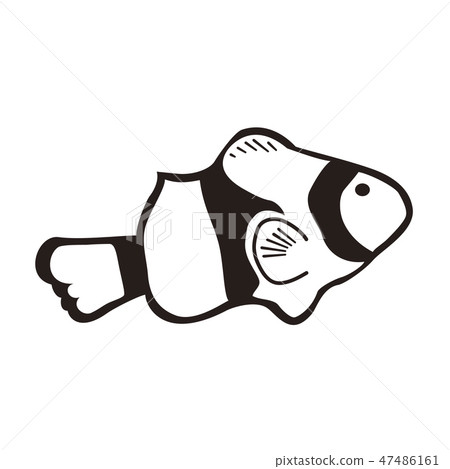 Anemone fish 47486161