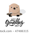 Happy Groundhog Day 47486315