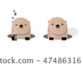 Happy Groundhog Day 47486316