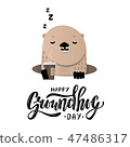 Happy Groundhog Day 47486317