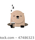 Happy Groundhog Day 47486323