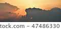 天堂 47486330