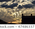 雲 47486337