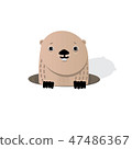 Happy Groundhog Day 47486367