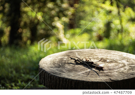 Outdoor image material Wood cut log Outdoor image material Wood cut log 47487709
