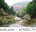 Kyoto 1 round Trail Kitayama 4 47488179