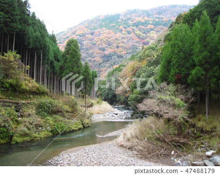 Kyoto 1 round Trail Kitayama 4 Kyoto 1 round Trail Kitayama 4 47488179