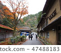 Kyoto 1 round Trail Kitayama 2 47488183