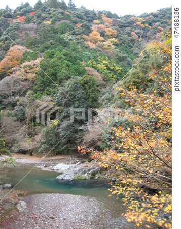 Kyoto 1 round Trail Kitayama Kyoto 1 round Trail Kitayama 47488186