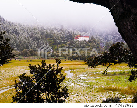 Chongu monastery in Yading Chongu monastery in Yading 47488685