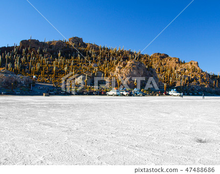 Isla Incahuasi or Isla de los pescadores is an island in the middle of Salar de Uyuni in Bolivia Isla Incahuasi or Isla de los pescadores is an island in the middle of Salar de Uyuni in Bolivia 47488686