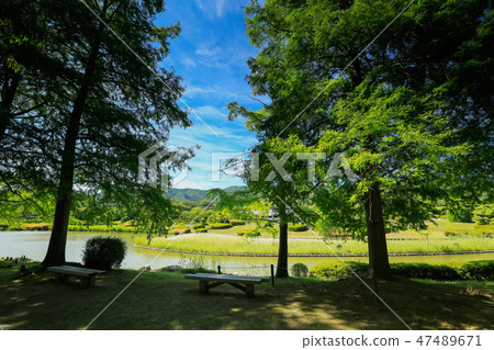 South Paradise South Record Ehime Prefecture Uwajima-shi South Paradise South Record Ehime Prefecture Uwajima-shi 47489671