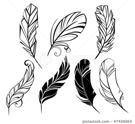 small feather small feather 47489869