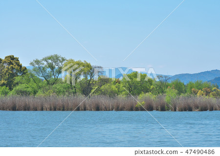 Moe Lake Biwa 47490486