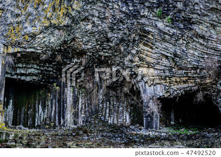 Genbudo公園公園 47492520