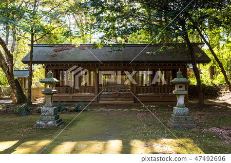 鹿島神宮(茨城縣鹿島市)自2019年1月起 鹿島神宮(茨城縣鹿島市)自2019年1月起 47492696