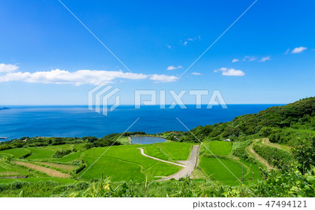 Toho-hata rice paddy and the Japan Sea Toho-hata rice paddy and the Japan Sea 47494121