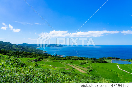 Toho-hata稻田和日本海 Toho-hata稻田和日本海 47494122